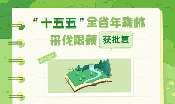 一圖讀懂廣東省人民政府關(guān)于全省“十五五”期間年森林采伐限額的批復(fù)