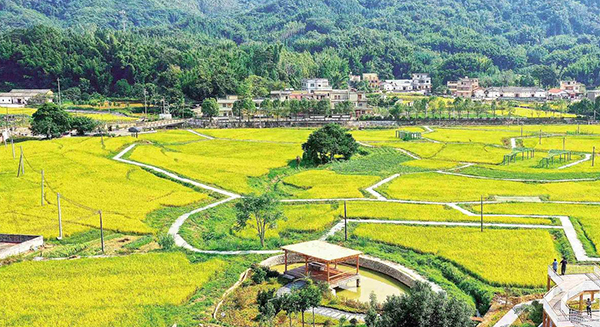 惠州市委農(nóng)村工作會議部署今年“三農(nóng)”工作 把農(nóng)業(yè)發(fā)展成現(xiàn)代化大產(chǎn)業(yè)